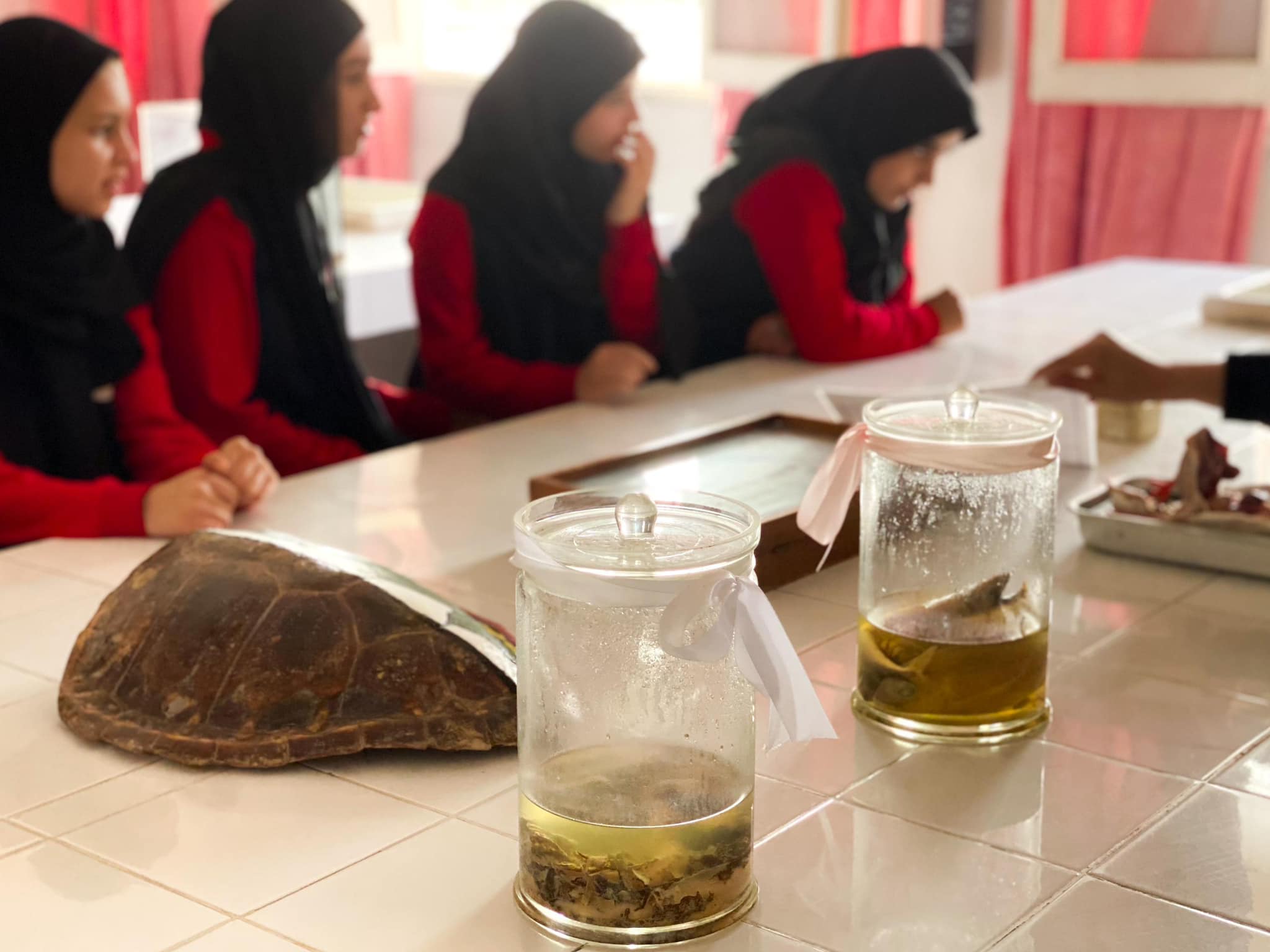 زيارات علمية متبادلة بين كلية العلوم ومؤسسات تعليمية